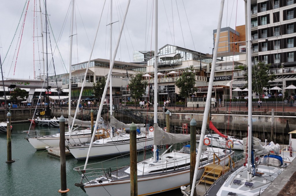 Viaduct Harbor and other views of Downtown Auckland, New Zealand